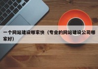 一个网站建设哪家快（专业的网站建设公司哪家好）