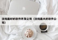 沈阳最好的软件开发公司（沈阳最大的软件公司）