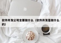 软件开发公司主要做什么（软件开发是做什么的）